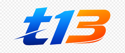 t13